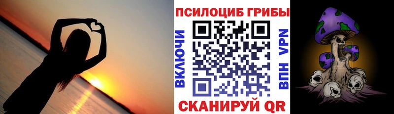 Галлюциногенные грибы Psilocybe  Пущино 